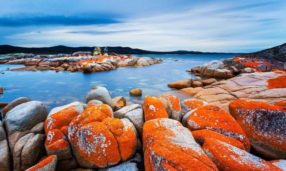 Bay of Fires tasmania