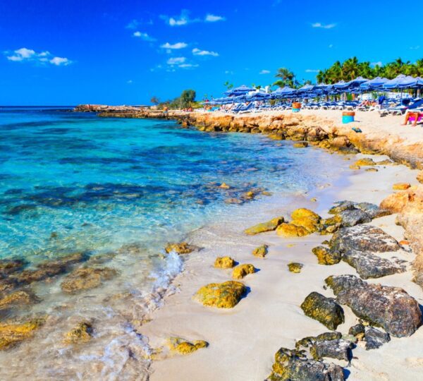 Beaches in Melbourne