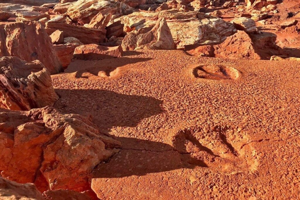 Gantheaume Point And See Dinosaur Footprints