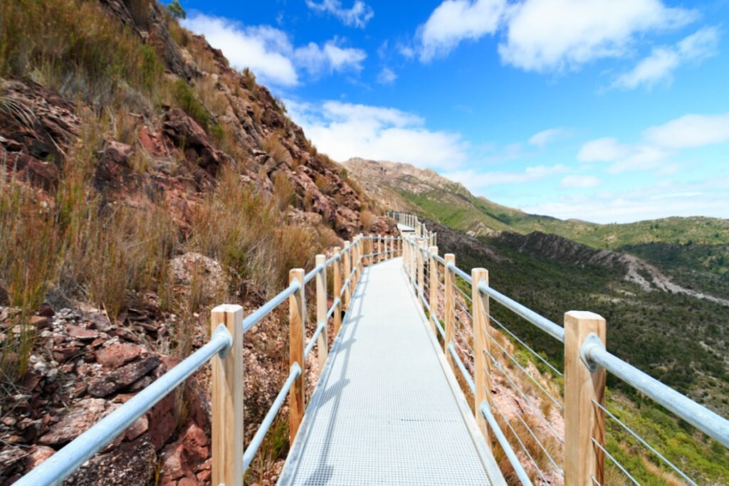 Horsetail Falls Track