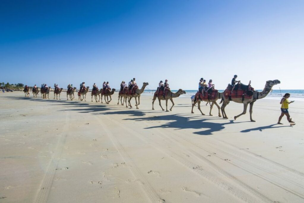 Ride a Camel on Cable Beach