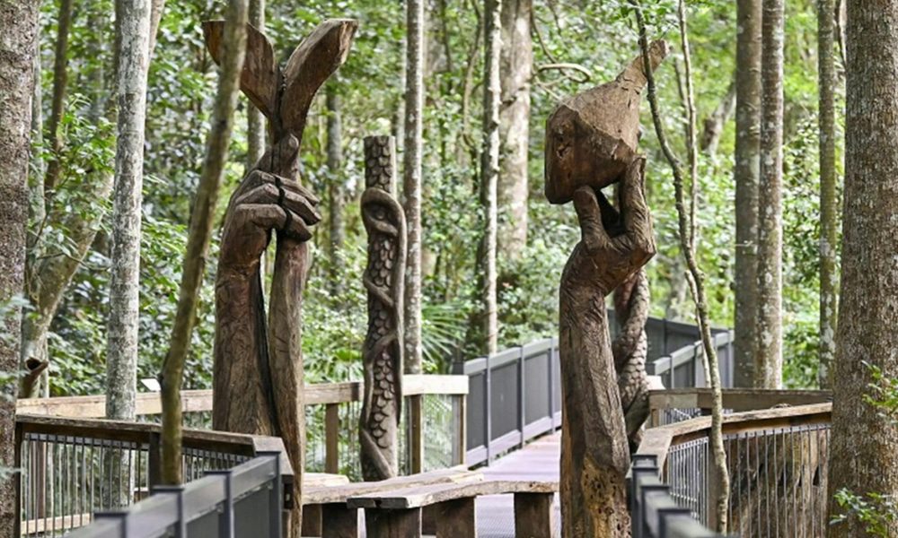 Sea Acres Rainforest Centre