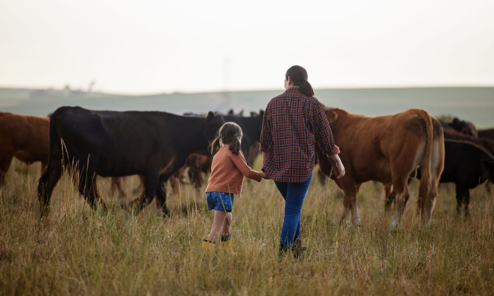 Spend a slow day at The Farm