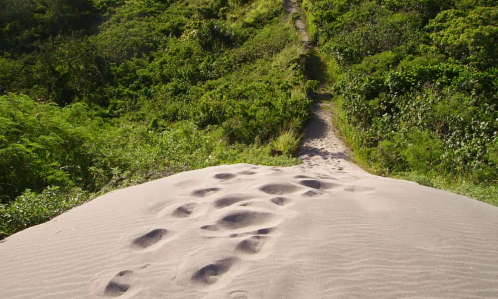 Explore the Sigatoka Sand Dunes