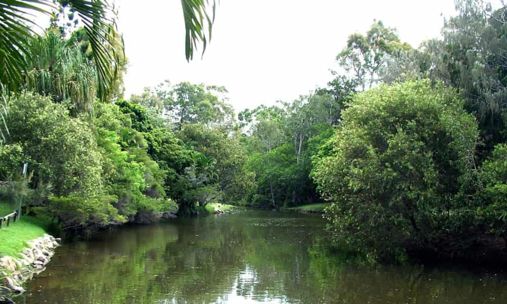 Hervey Bay Botanic Gardens