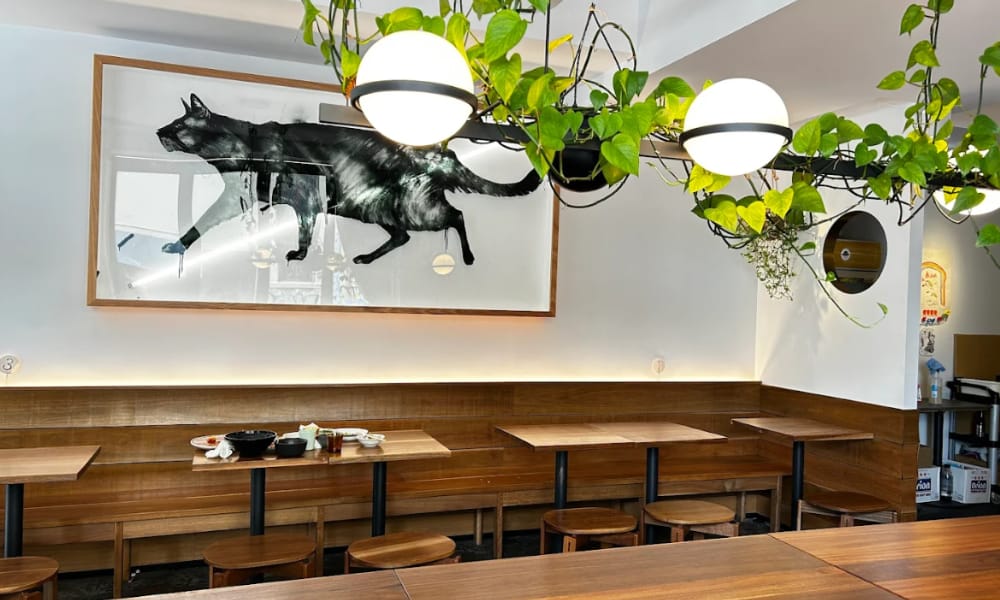 Neko Neko restaurant Sydney