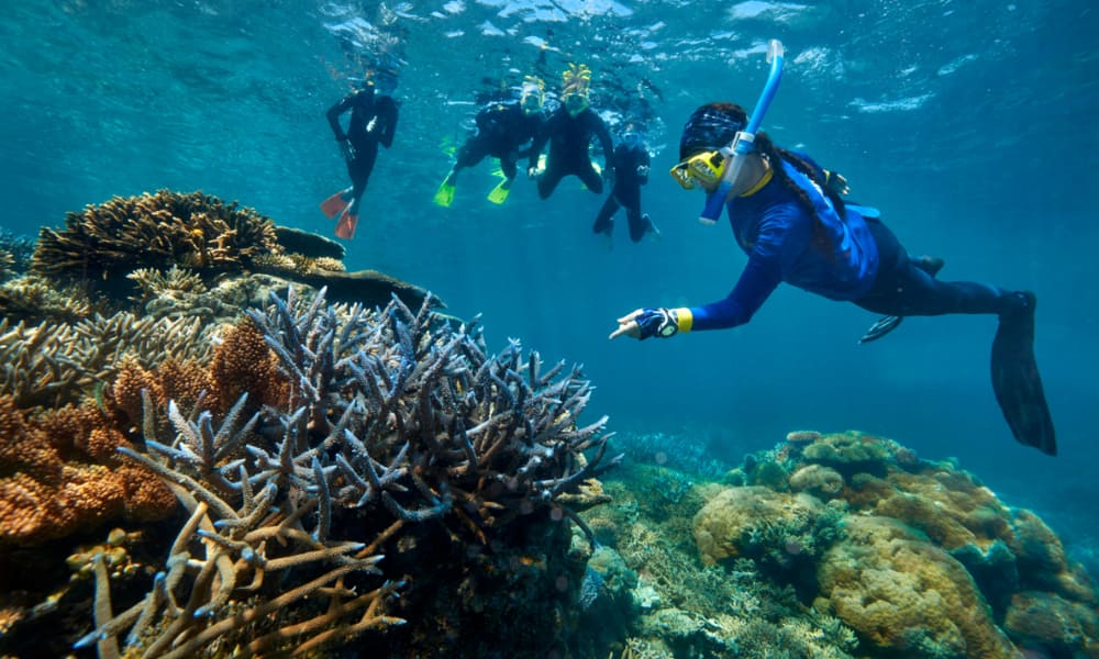 Snorkel in the Rainbow Reef