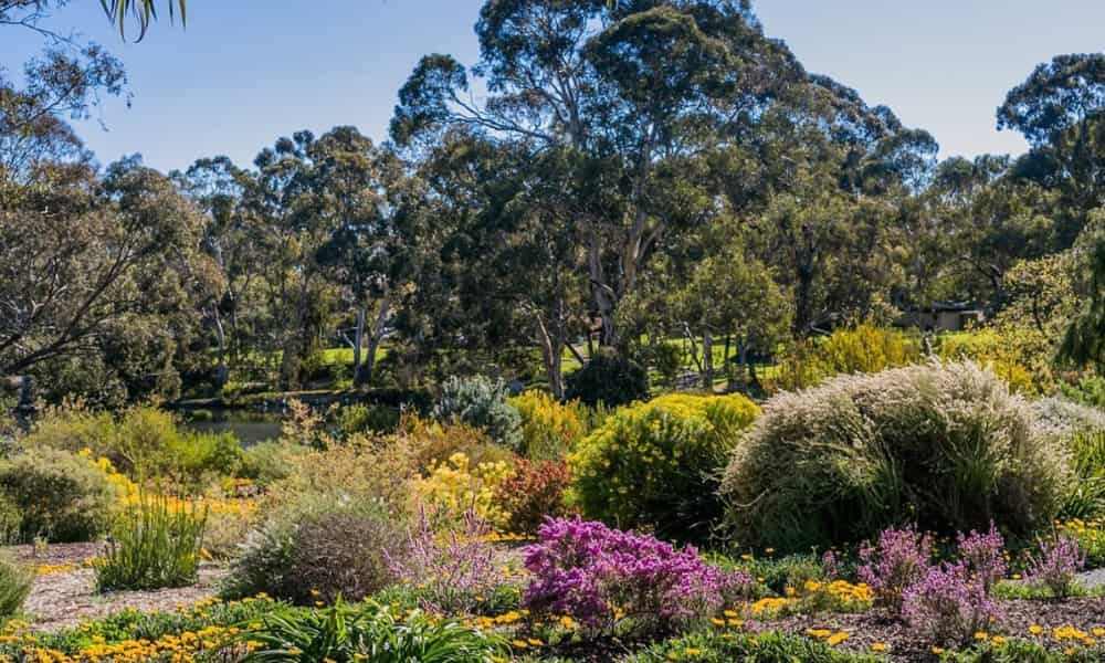 Southern Highlands Botanic Gardens