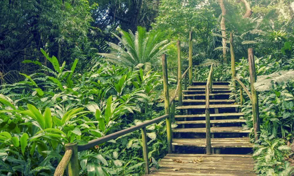 Visit the Garden of the Sleeping Giant