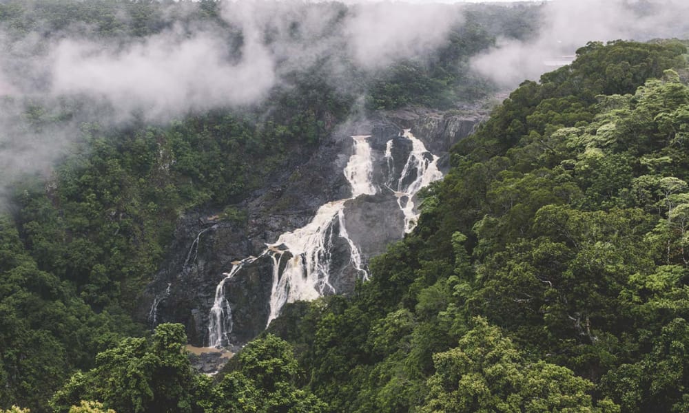 Barron Falls (Din Din)