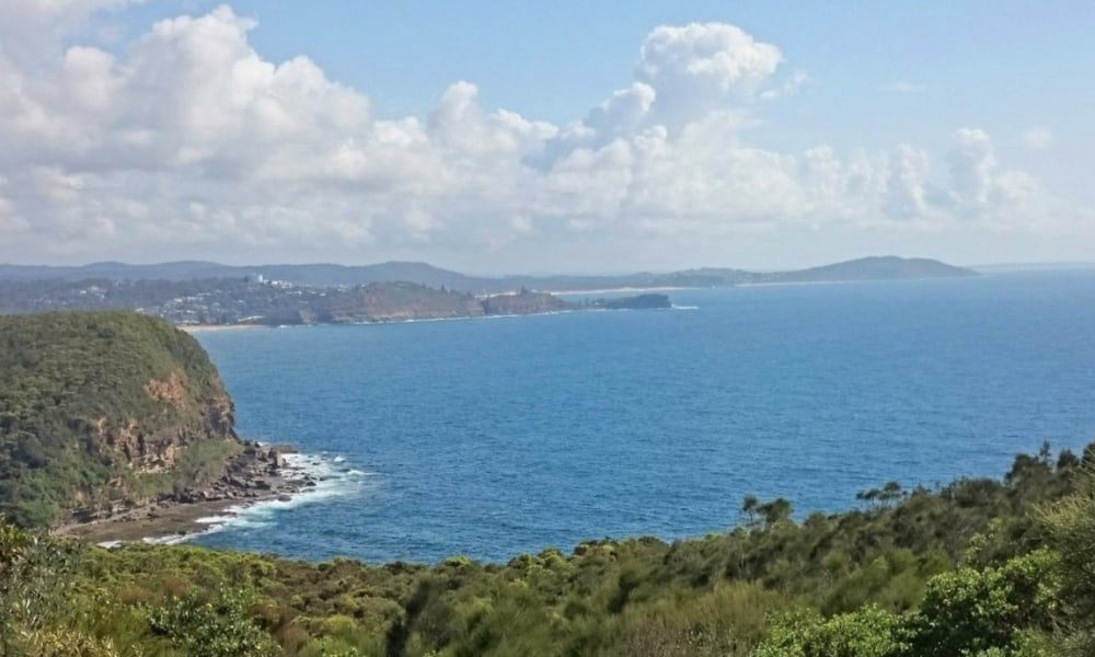 Captain Cook Lookout Avoca Beach
