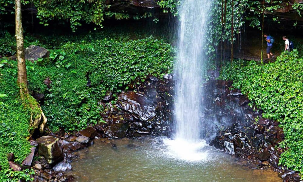 Crystal Waters Falls, Northern Rivers