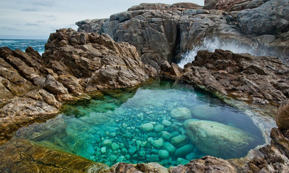 Discover First Bay Rock Pools