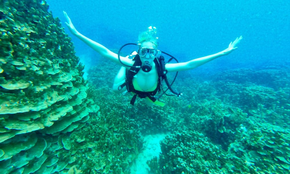 Experience the Undersea Walk