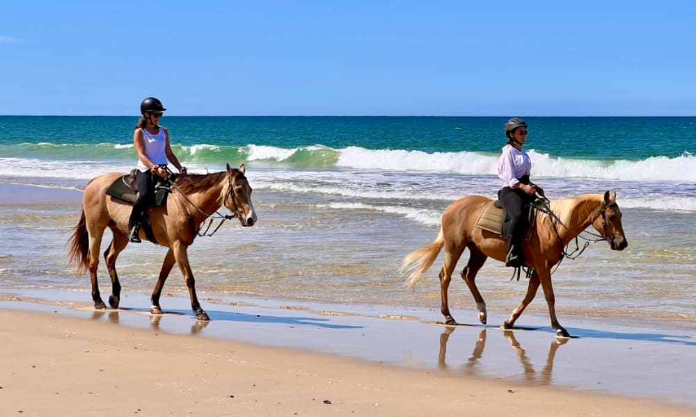 Horse Riding on the Beach