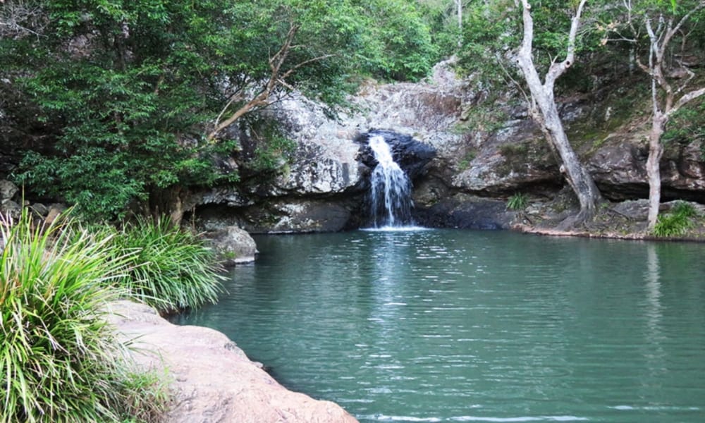 Kondalilla Falls