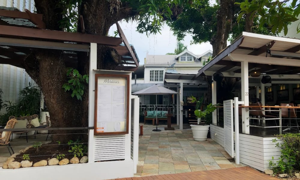 Melaleuca Port Douglas