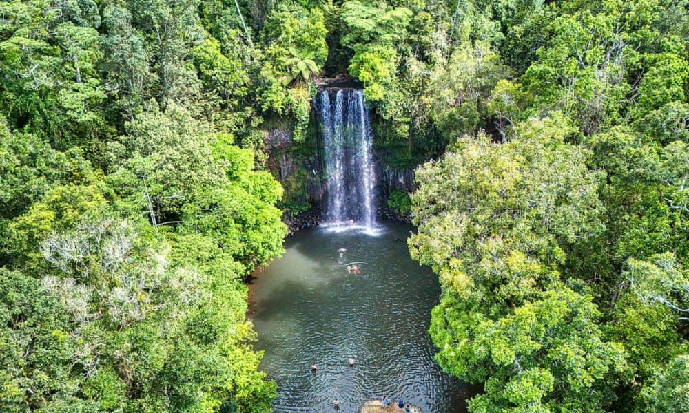 Millaa Millaa Falls Queensland