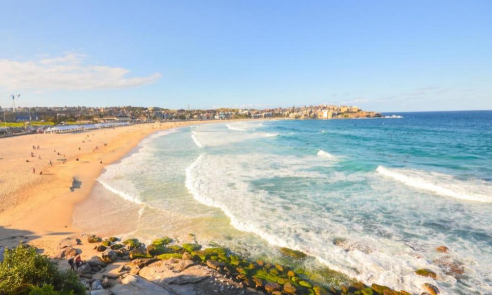 Photos at Scenic Lookouts