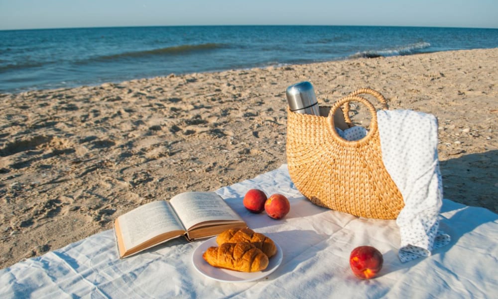 Picnic by the Sea