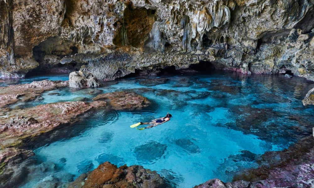 Rock Pools and Marine Life caves beach