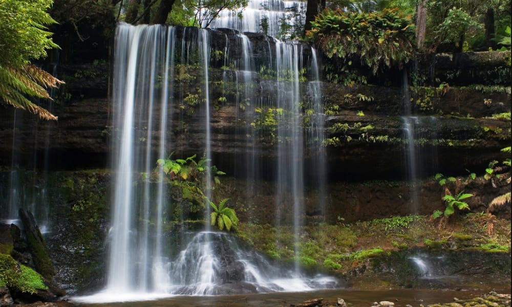 Russell Falls Tasmania