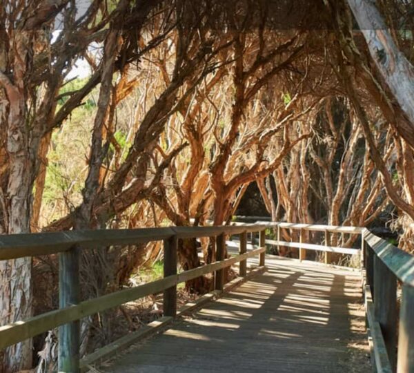 Things to Do in Bunbury