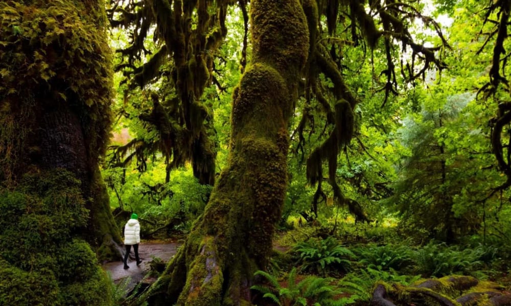 Visit Tuart Forest National Park