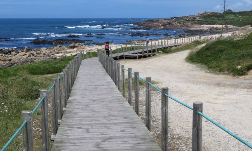 Walk the Coastal Boardwalk