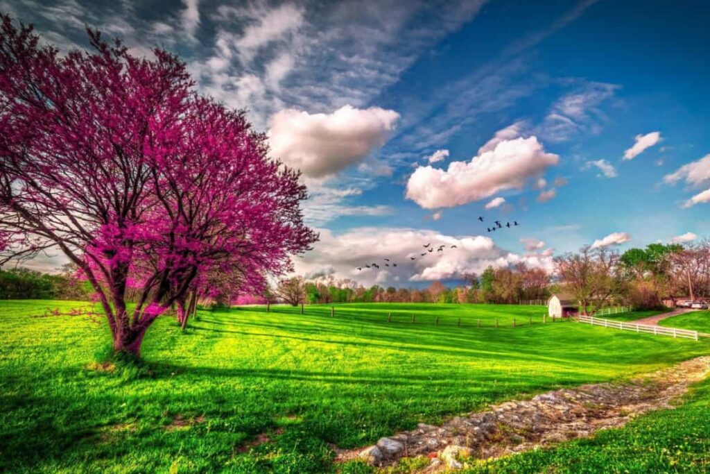 When Is Spring in Australia