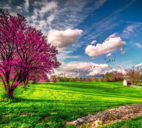 When Is Spring in Australia