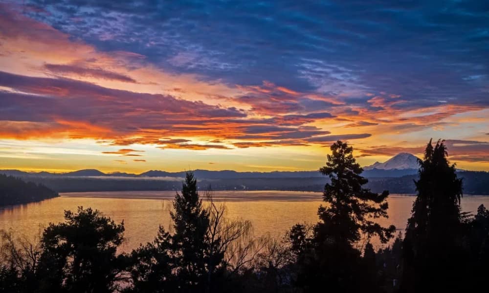 Winter Solstice Avoca beach