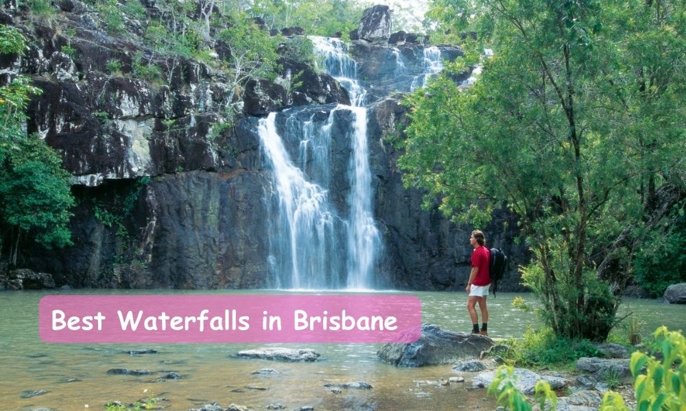 Best Waterfalls in Brisbane for a Refreshing Nature Escape