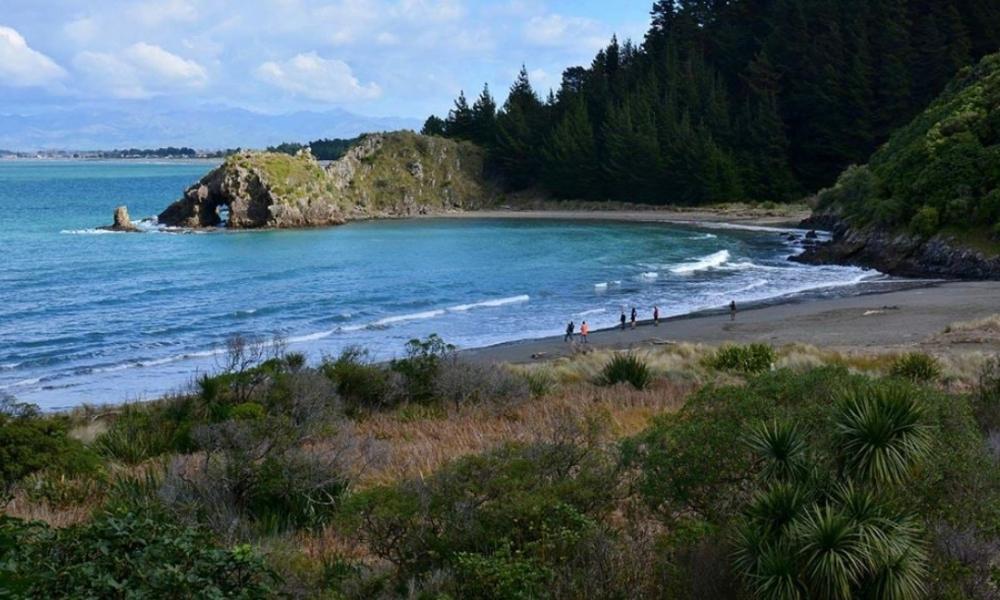 Things to Do in Blenheim Beach for a Perfect Coastal Day