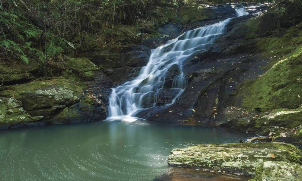 Best Waterfalls in Brisbane for a Refreshing Nature Escape