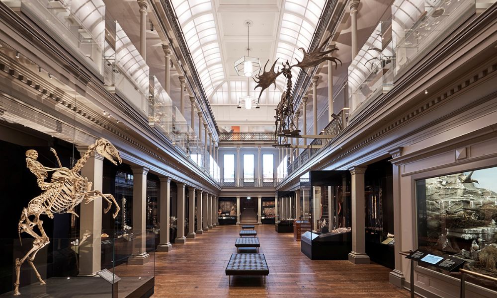Australian Museum Inside