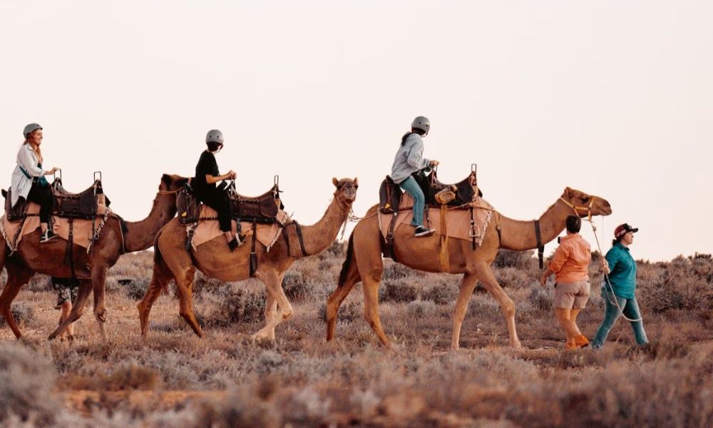 Exploring Broken Hill and the Surrounds