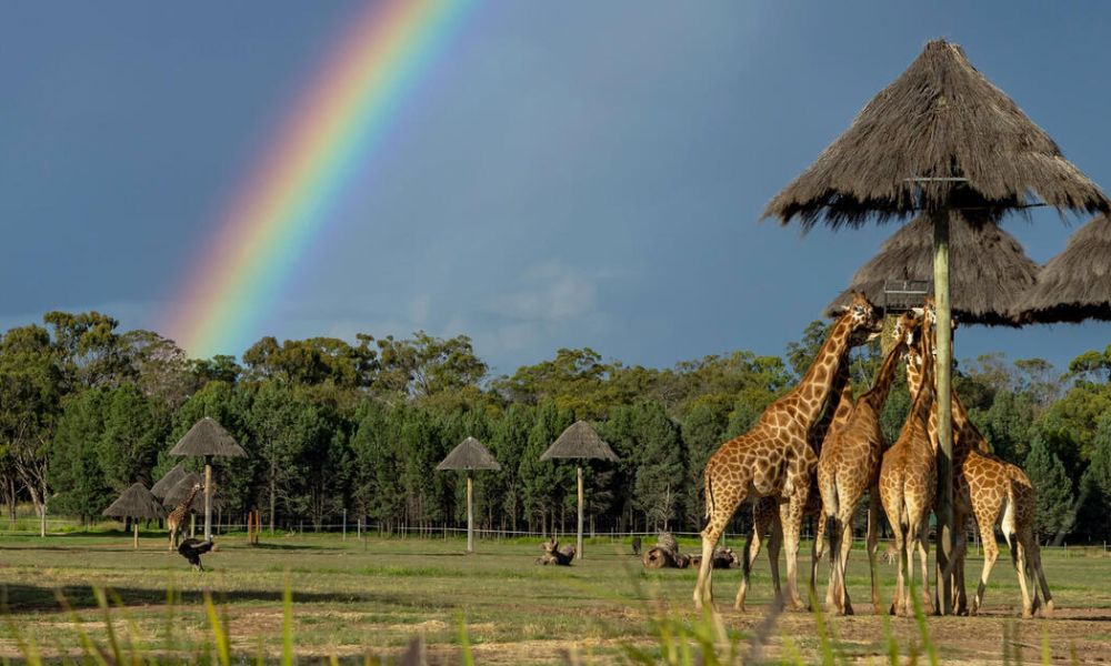 Taronga Western Plains Zoo