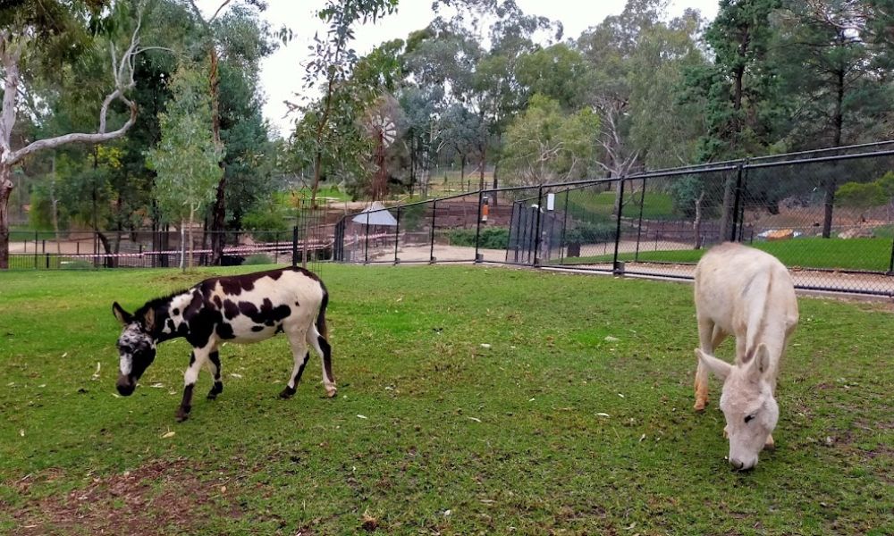 Wagga Wagga Zoo and Aviary