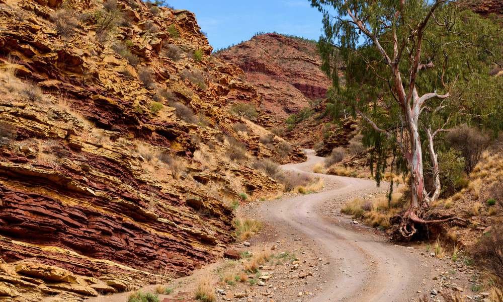 Dirt road winding through layered red rock walls in Brachina Gorge, Flinders Ranges