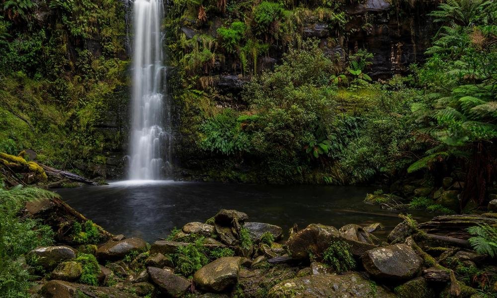 Erskine Falls waterfall in the Otway rainforest behind Lorne
