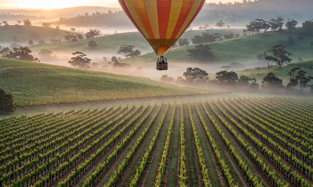 Hot air balloon drifting over Hunter Valley vineyards at sunrise