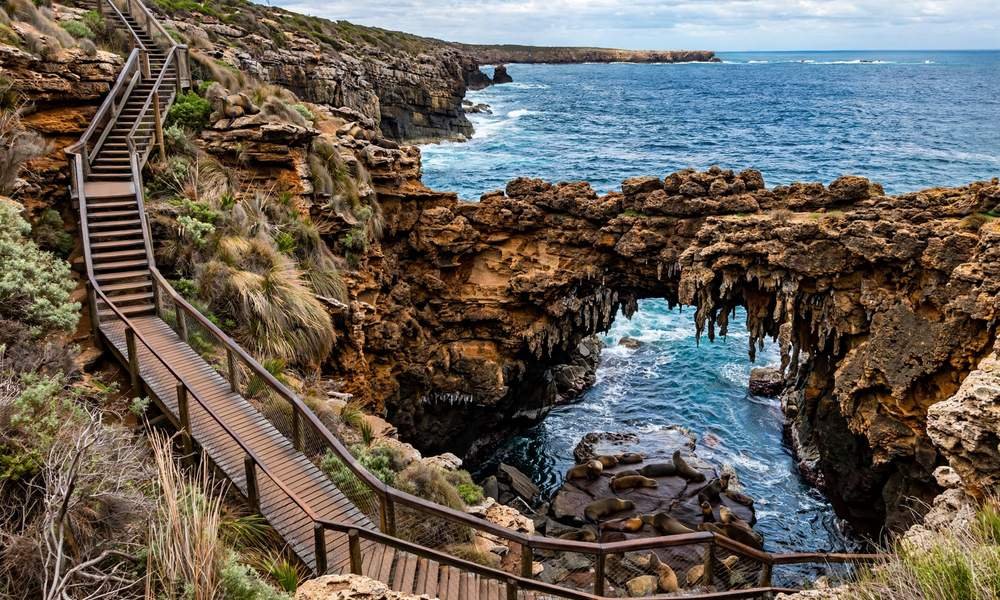 Admirals Arch rock formation with long-nosed fur seals on the rocks below, Kangaroo Island