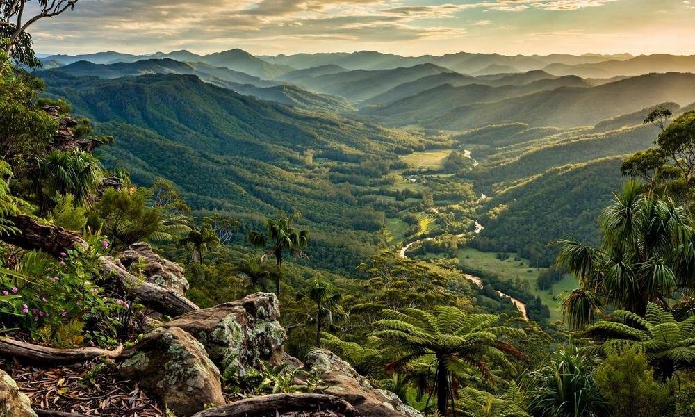 Layered green valleys and ridges viewed from a lookout in Lamington National Park