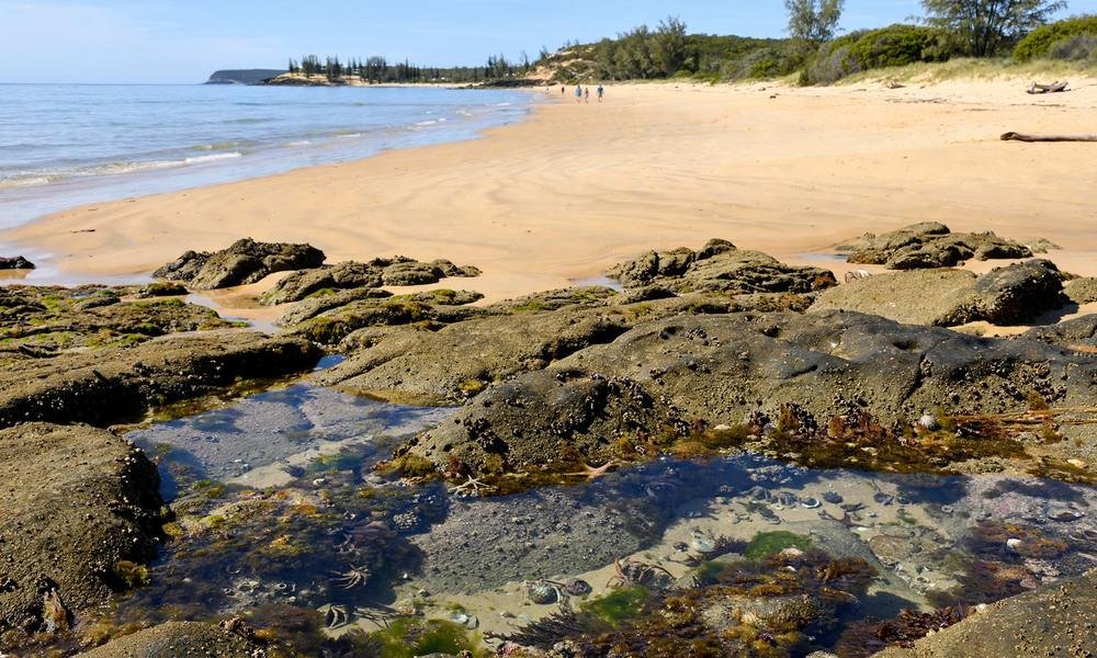 Bargara beach near Mon Repos in daylight, with a calm shoreline, rock pools, and visitors walking along the sand