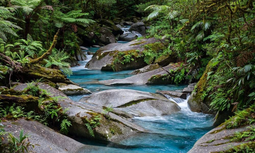Clear water flowing through Mossman Gorge in the Daintree Rainforest