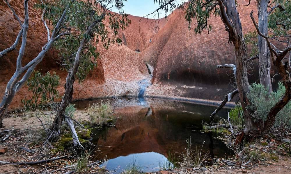 Mutitjulu Waterhole at the base of Uluru