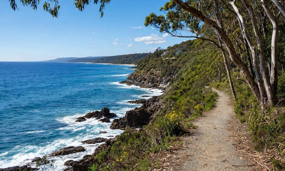 Coastal walking track in Noosa National Park with rocky headland, blue ocean and eucalyptus trees