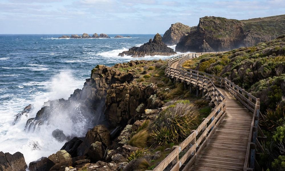 Timber boardwalk along the cliffs at The Nobbies, Phillip Island