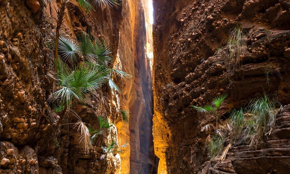 Narrow Echidna Chasm with high sandstone walls closing in overhead.
